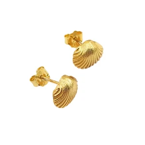 Brincos Concha da Sereia | Prata 925 Banhada a Ouro